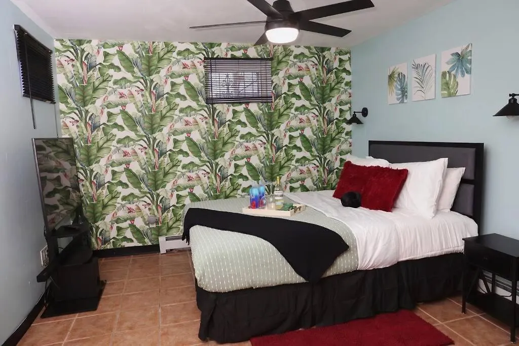 Tropical Oasis-Private Studio-Near Jfk Apartment New York 0*,